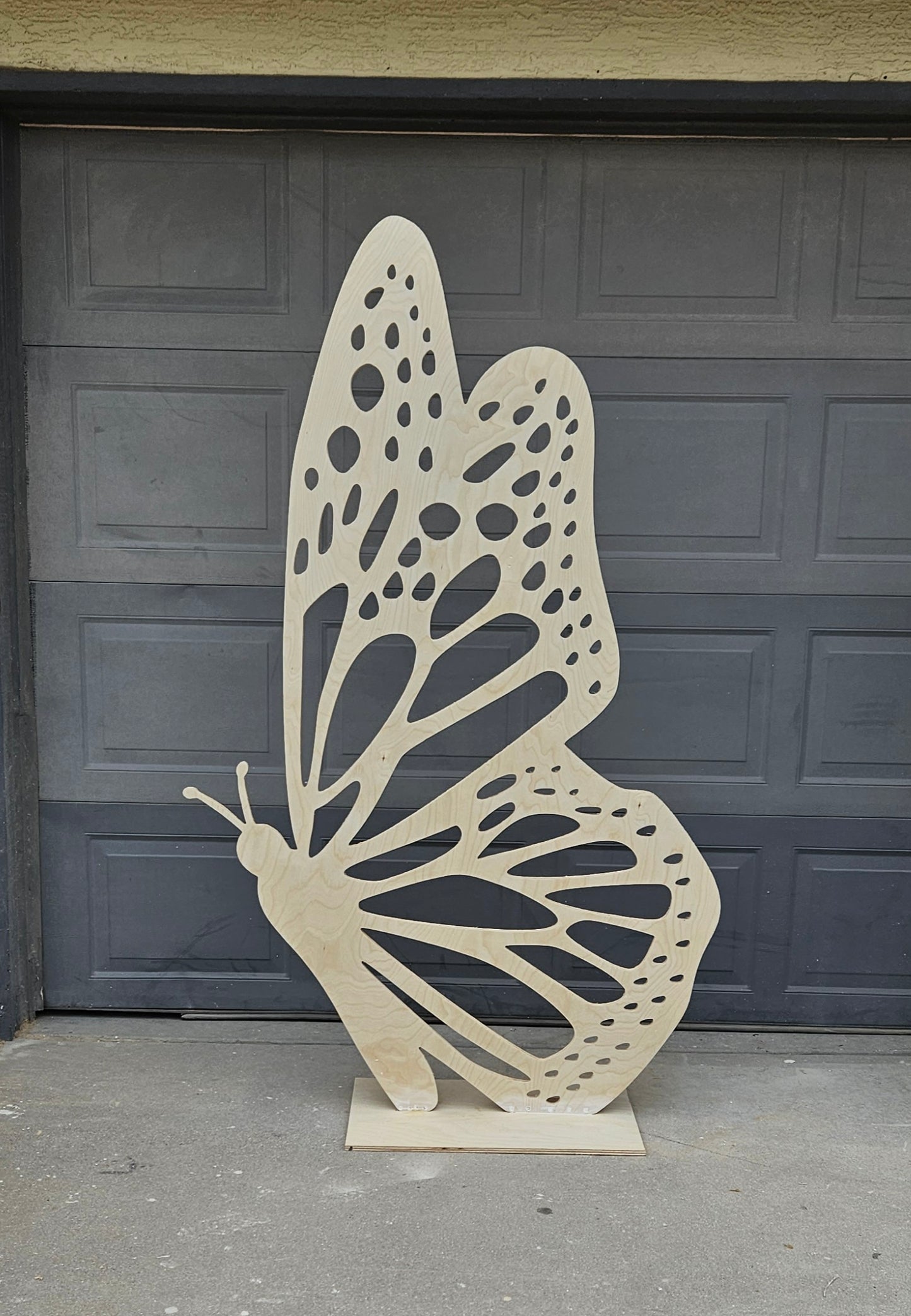 Backdrop - Butterfly wings togetr - monarch