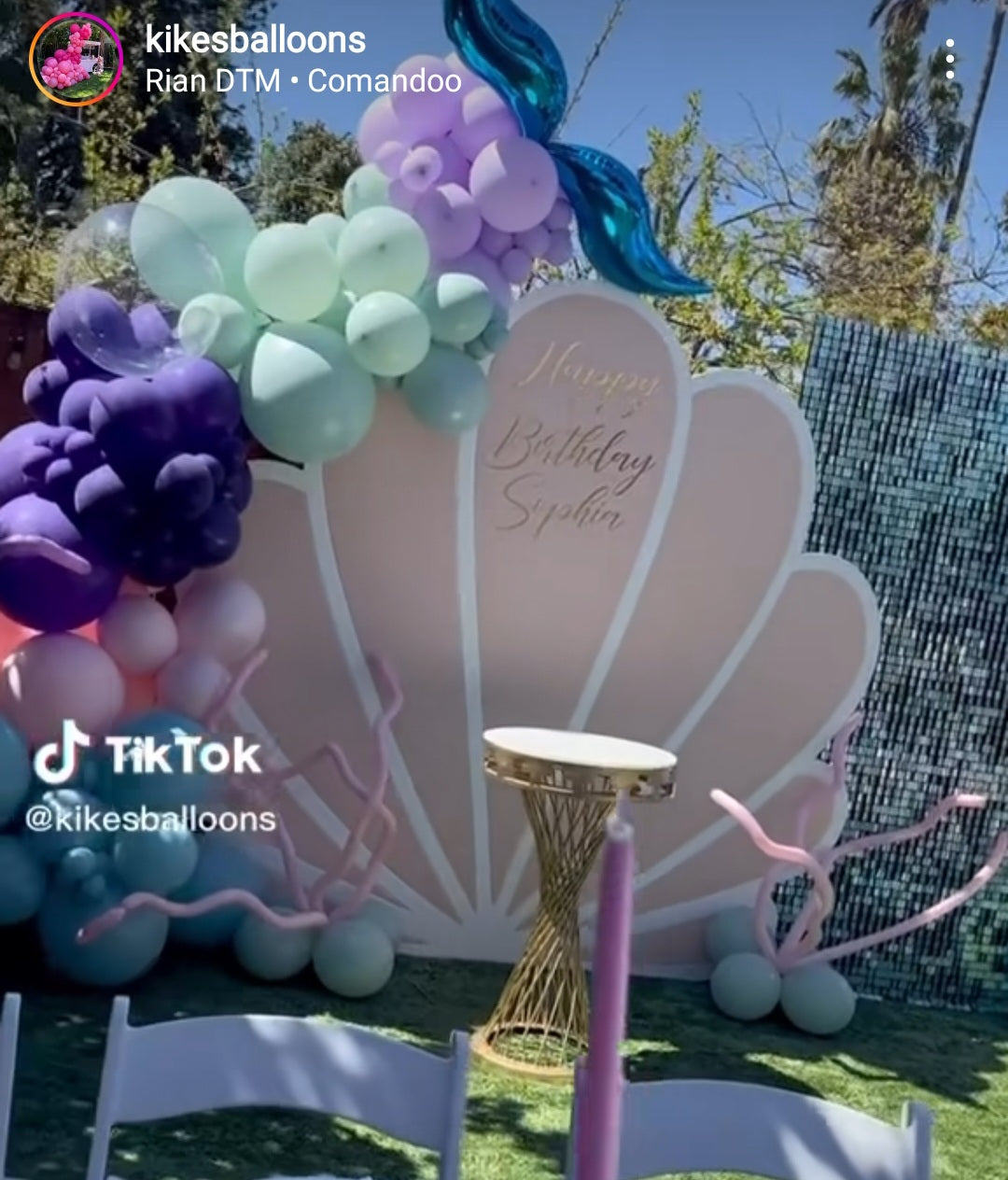 Backdrop - Seashell 1 layer Engraved