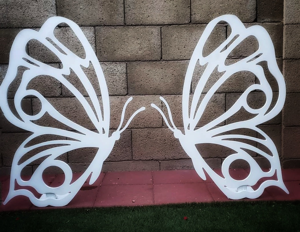 Butterfly - wings together